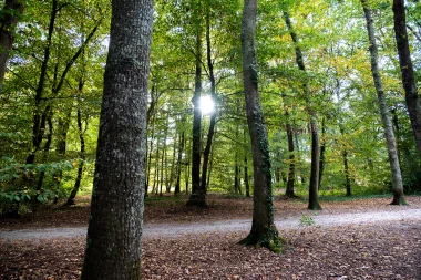 Parc de Cazalet de Pessac (3).